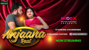 Anjaan Raat MoodX Web Series