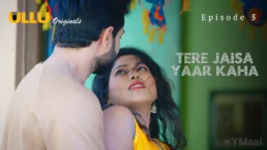Tere Jaisa Yaar Kaha Ullu Web Series Episode 5